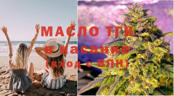 твердый Инсар