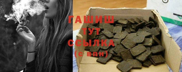 твердый Инсар