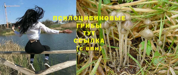 круглые Инта