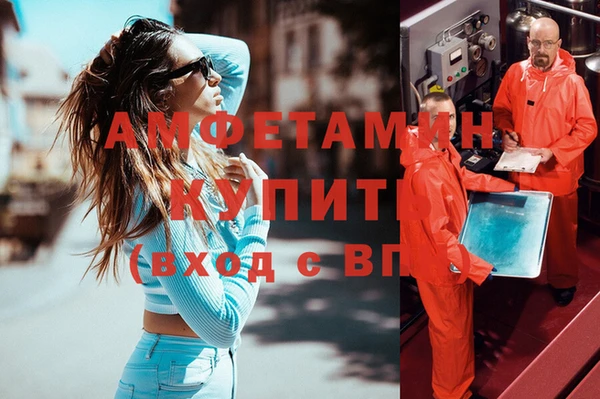 твердый Инсар