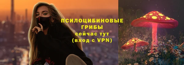 герыч Иннополис