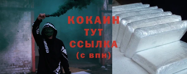 твердый Инсар