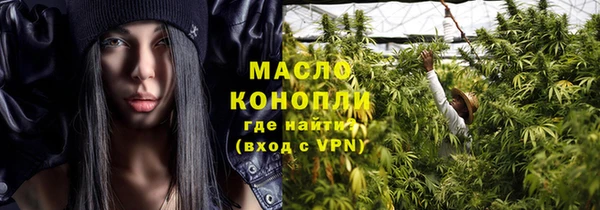 твердый Инсар