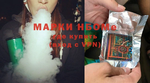 твердый Инсар