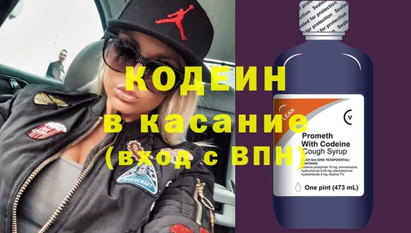 твердый Инсар