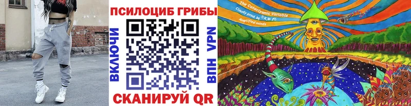 Псилоцибиновые грибы Cubensis  Купить закладки  Оханск 